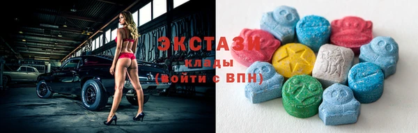МДПВ Бородино
