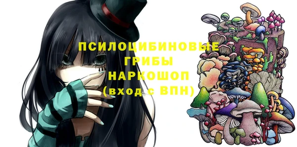 стаф Верхний Тагил