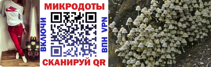Псилоцибиновые грибы мицелий где купить наркоту Альметьевск